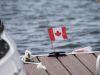 Little-Maple-Leaf1